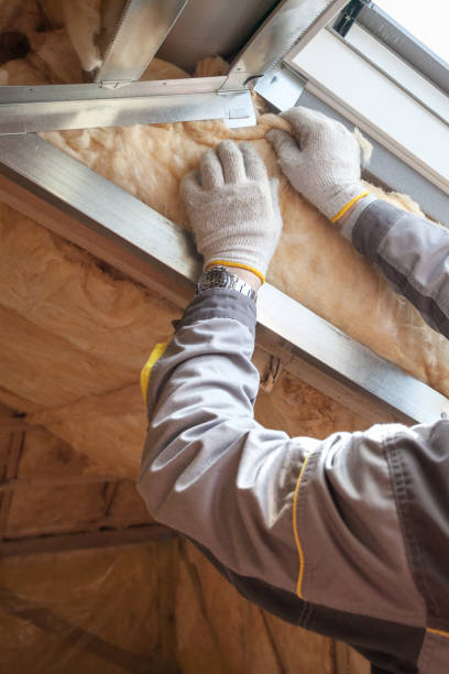 Best Blown-in Insulation  in Fenton, MO